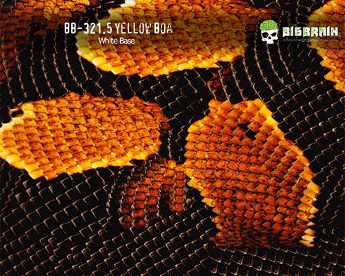 321.5 Yellow Boa