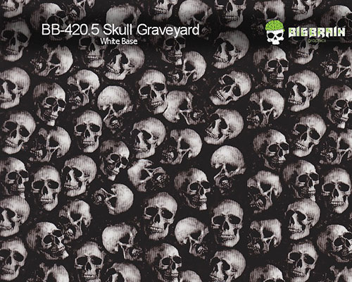 BB-420.5 skull Graveyard