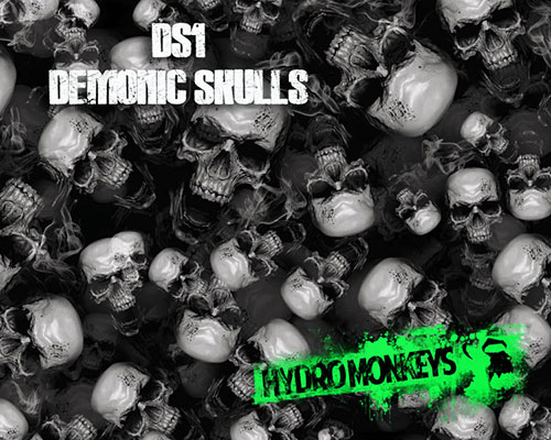 DS1 Demonic Skulls