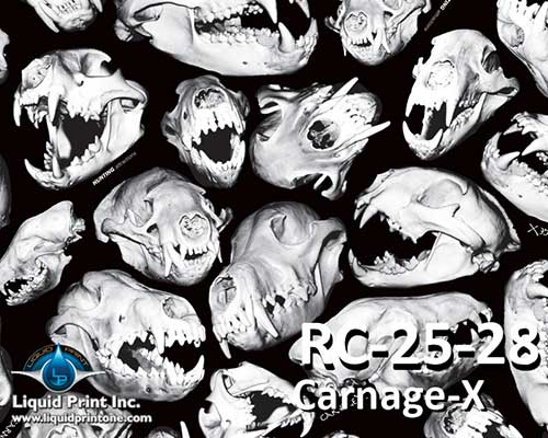 RC-25-28 Carnage-X