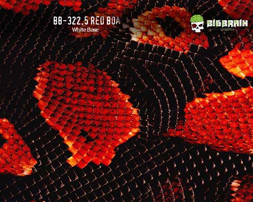 322.5 Red Boa