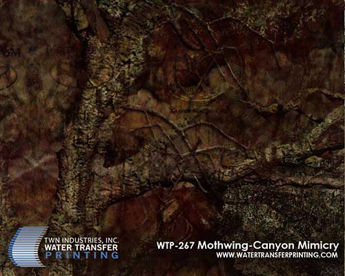 WTP-267 Mothwing-Canyon Mimicry
