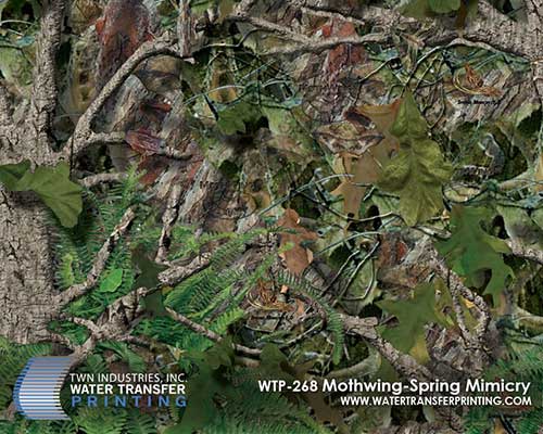WTP-268 Mothwing - Spring Mimicry